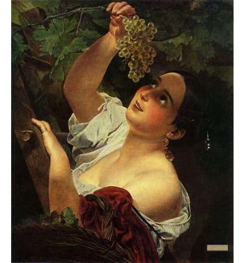 Italian Noon Italian Girl Picking Grapes