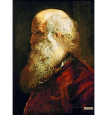 Head Of An Old Man