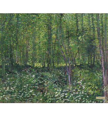 Undergrowth 2