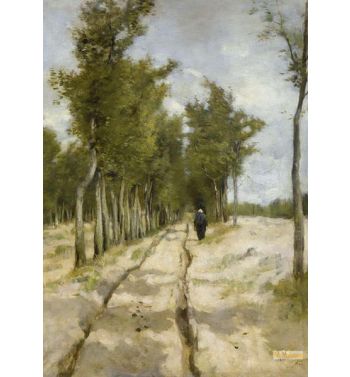 Torenlaan Te Laren
