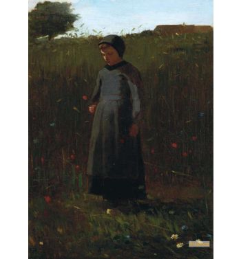 The Flowers Of The Field