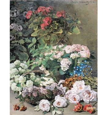 Spring Flowers