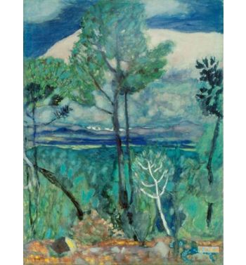 Landscape