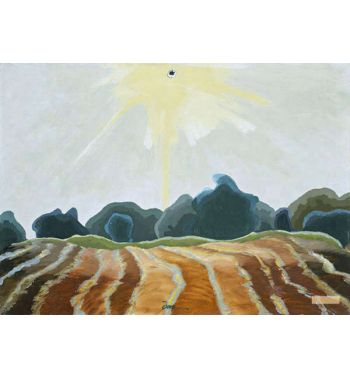 Morning Sun