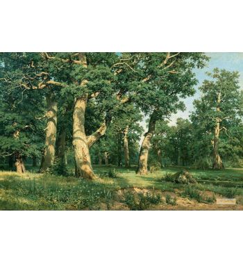 Oak Grove 1887