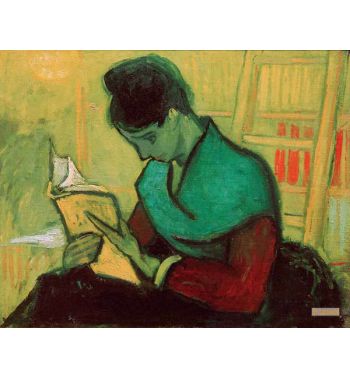 The Novel Reader