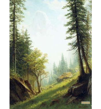 Among The Bernese Alps