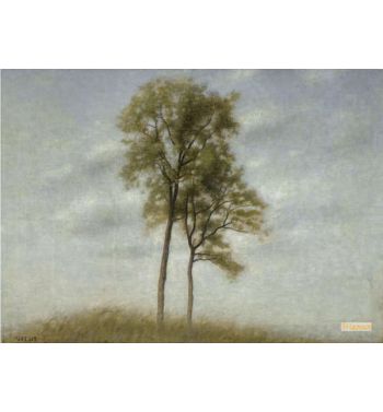 Unge Ege, Young Oak Trees