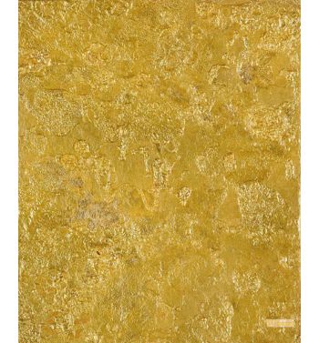 Abstract Image, 1988 2