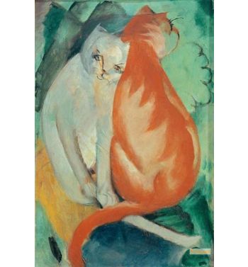 Cats, Red And White