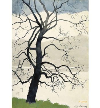 Lonely Tree By The Pond