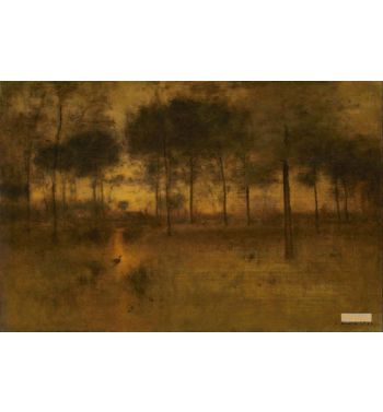 The Home Of The Heron 1893