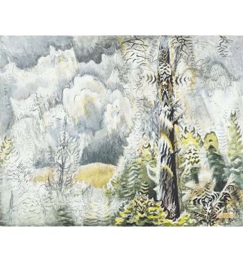 Cicada Woods