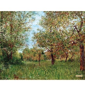 Small Meadow