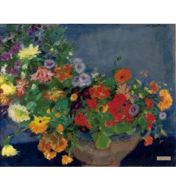 Colourful Flowers
