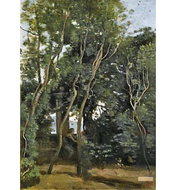Morning Under The Trees
