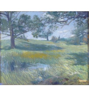 Meadows 1900 10