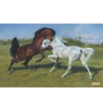 The Duel 1895