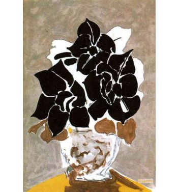 Amaryllis 1958