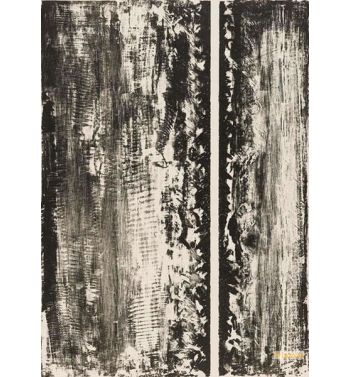 Untitled, B, N, F, 204