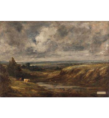 Hampstead Heath