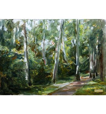 The Birch Avenue In The Wannseegarten To The Southwest