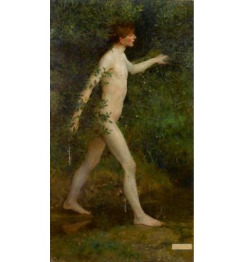 A Woodland Bather
