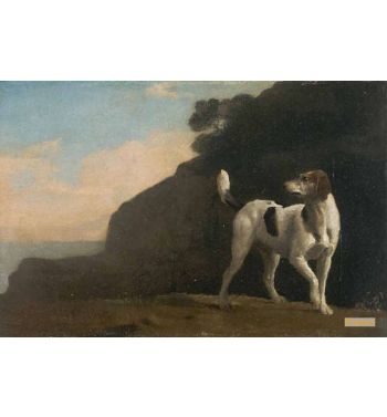 Foxhound