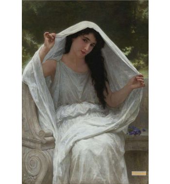 Veil