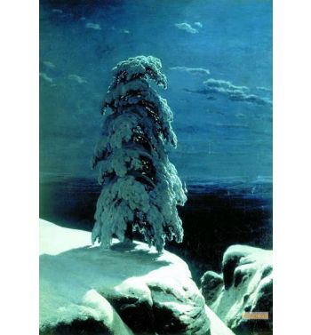 In The Wild North 1891