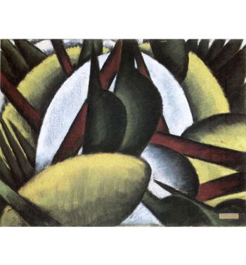 Plant Forms 1912