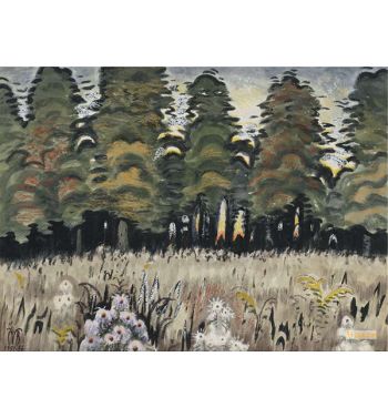 Trees in Meadow