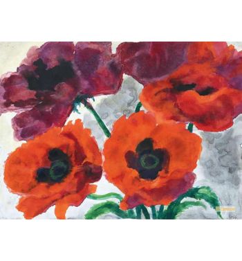 Rough Poppies