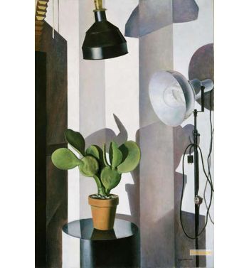 Cactus 1931