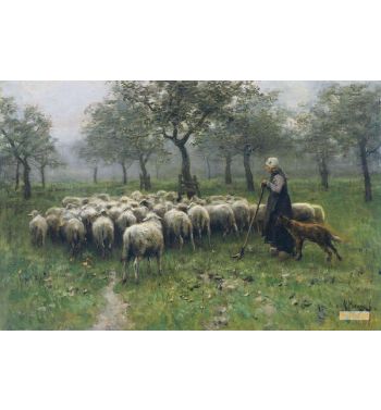 Herderin Met Kudde Schapen