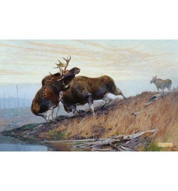 Battlingmoose