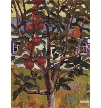 Apple Tree