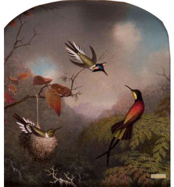 Hummingbirds Two Sungems And A Crimson Topaz 1866, 1