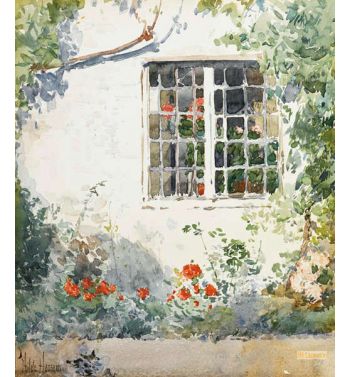 Flowers Against A White Wall