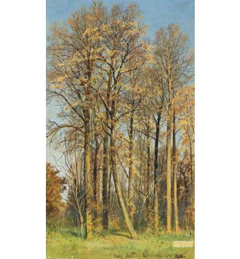 Rowan Trees In Autumn