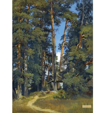Woodland Grove
