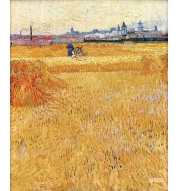 Arles View From The Wheat Fields