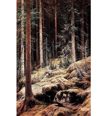 Thickets 1881