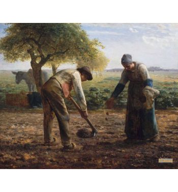 Potato Planters