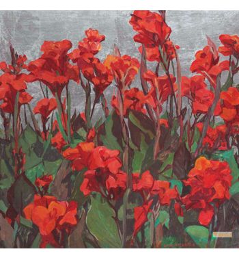 Red Cannas