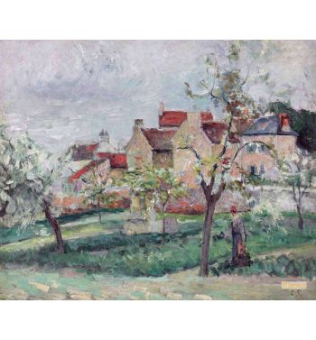 Flowering Plum Trees Pontois