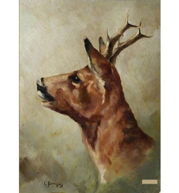 Deer