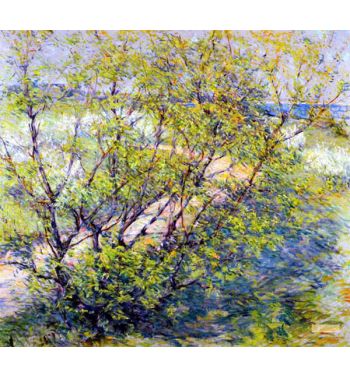 Autumn Landscape