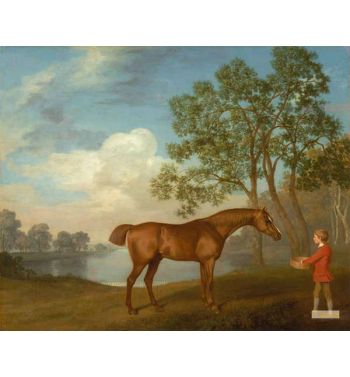 Pumpkin With A Stable-Lad