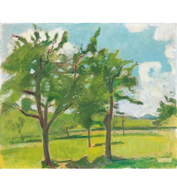 Sommerlandschaft